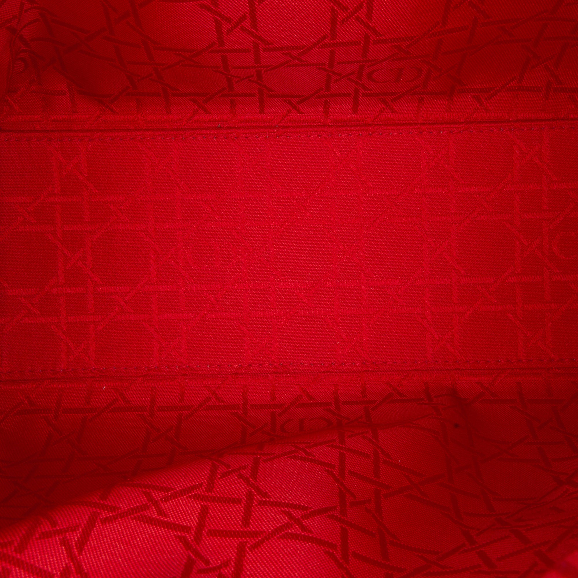 Dior Borsa Lady Dior media Borse