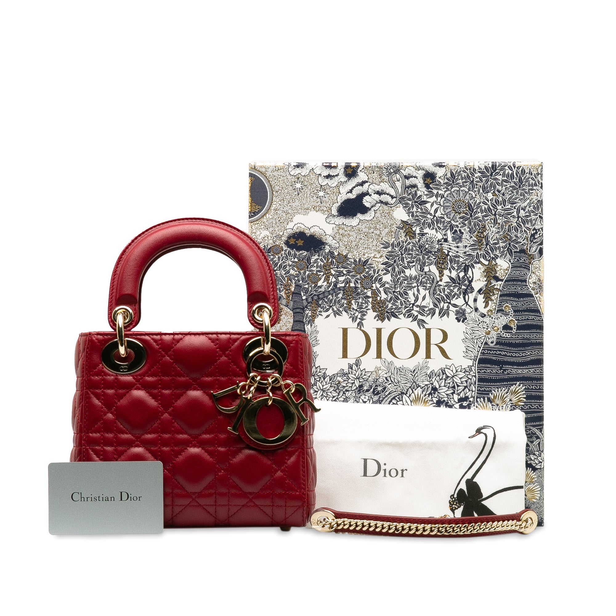 Dior Borsa Lady Dior Mini Borse