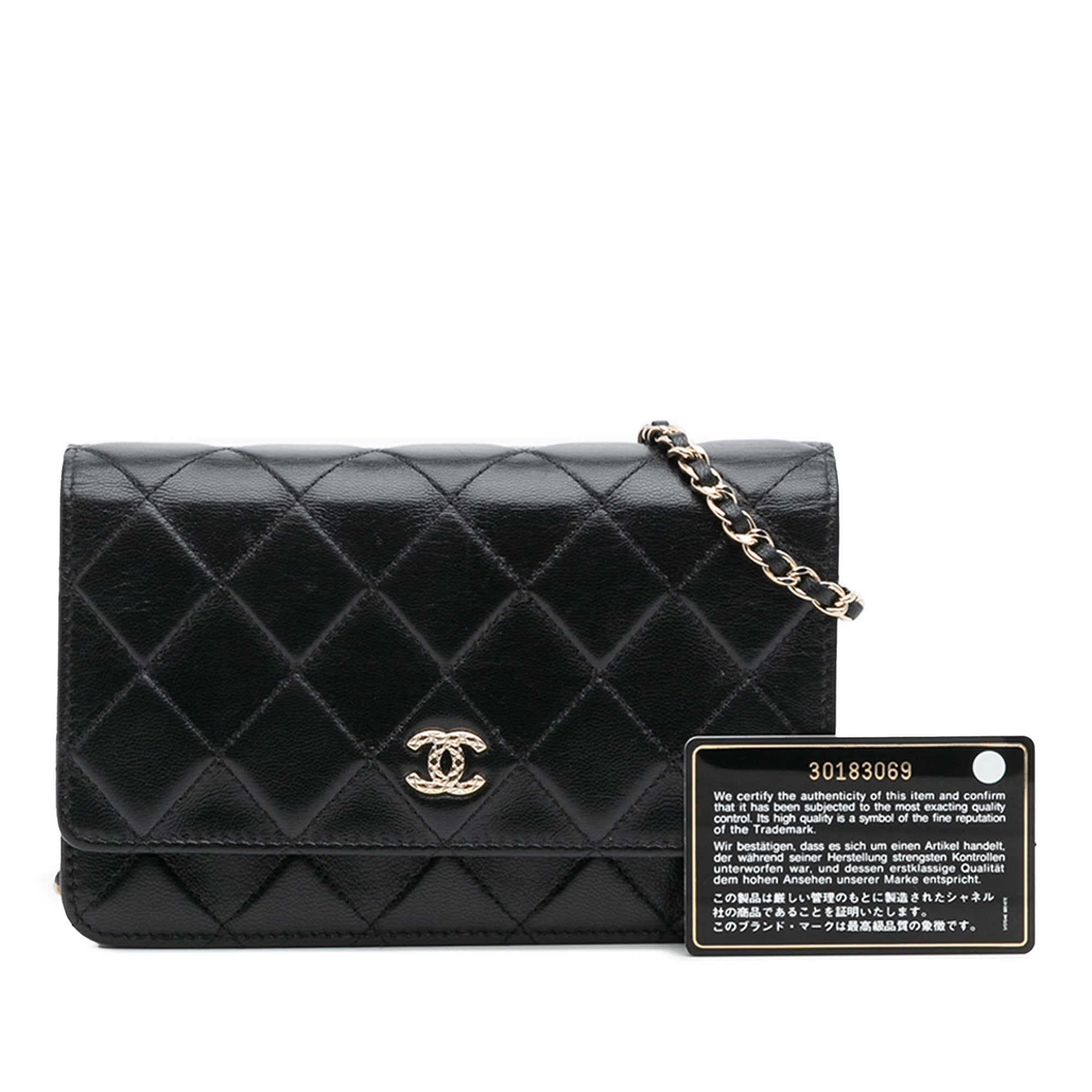Chanel Chanel WOC Wallet on Chain Borse, Novità, Prodotti