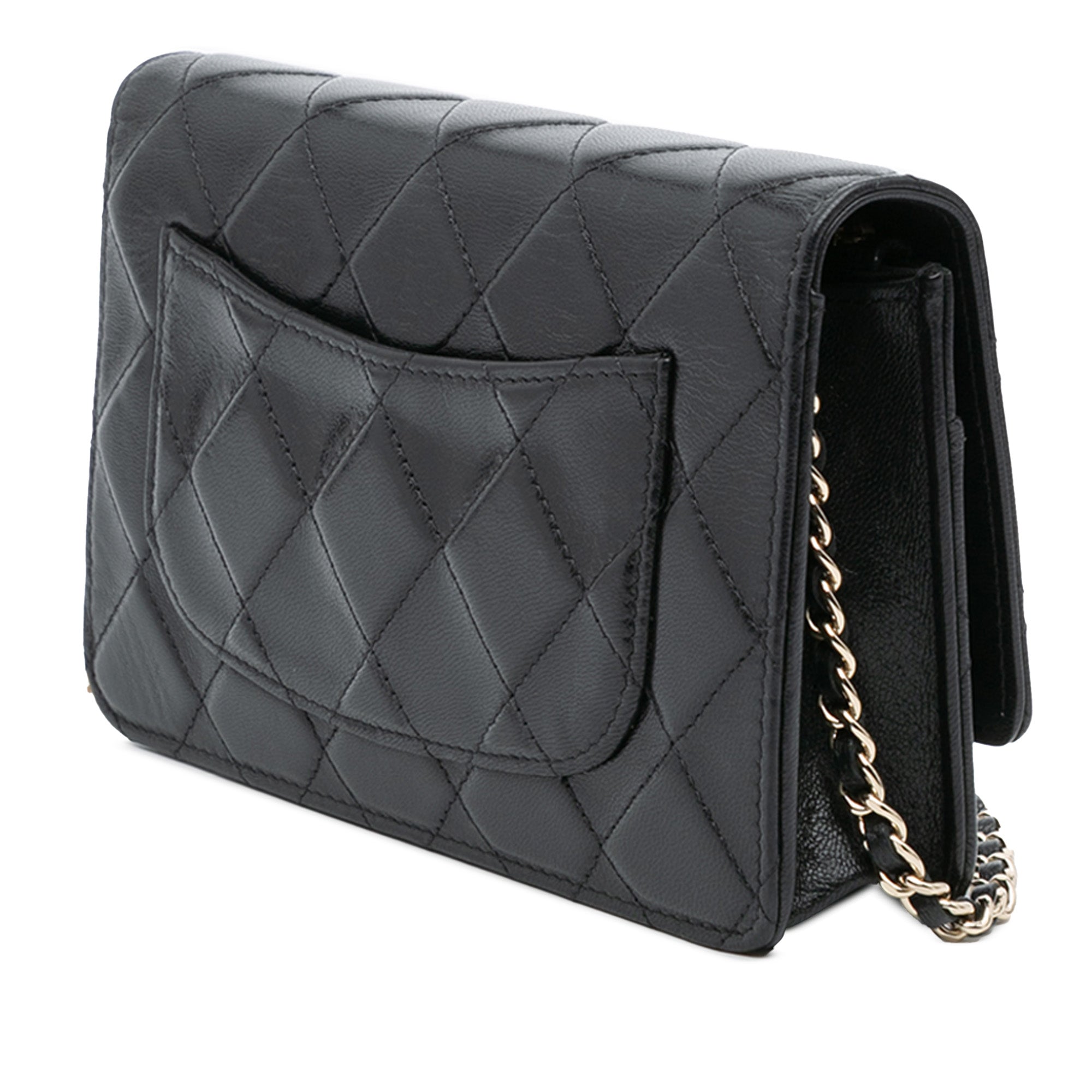 Chanel Chanel WOC Wallet on Chain Borse, Novità, Prodotti