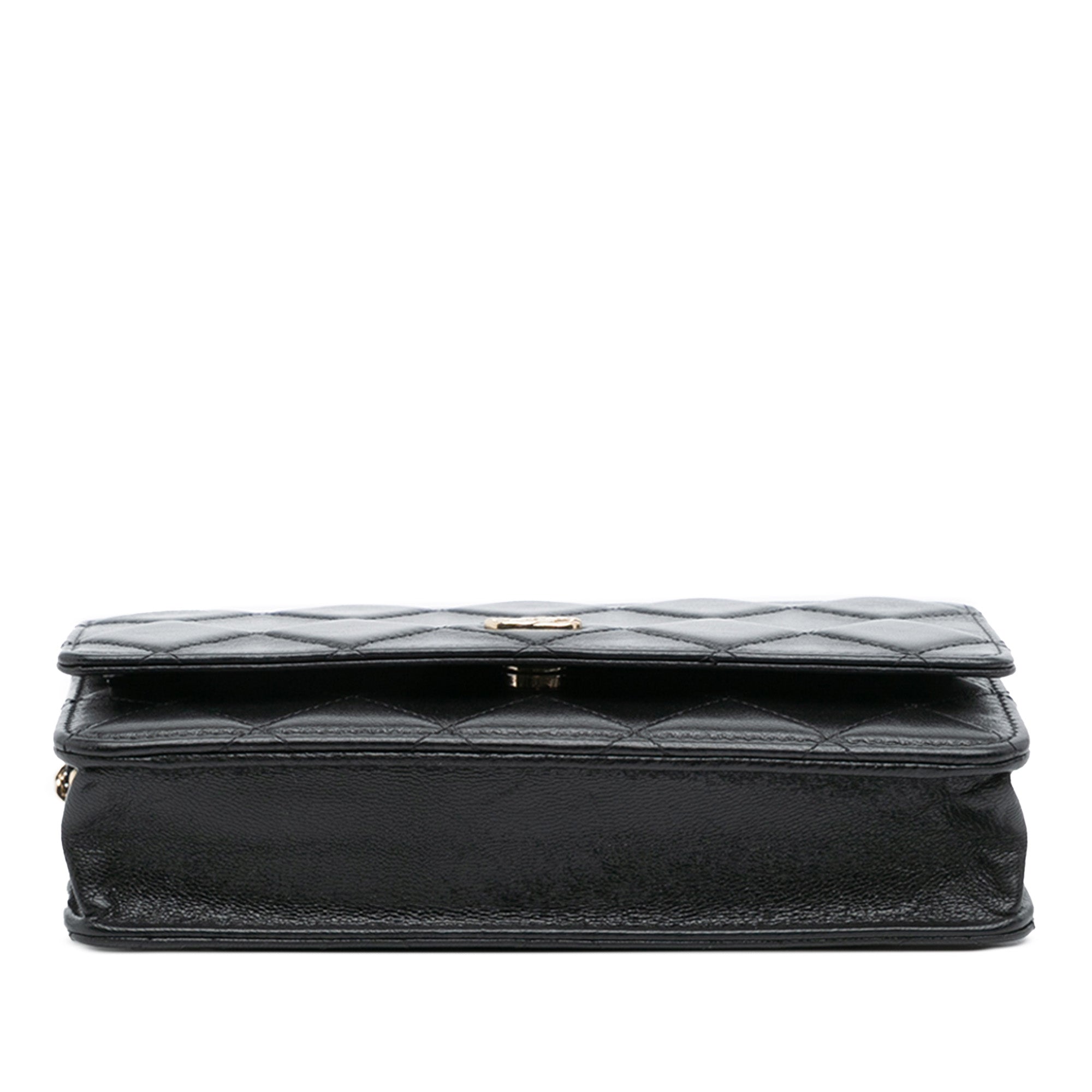 Chanel Chanel WOC Wallet on Chain Borse, Novità, Prodotti