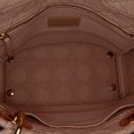 Borsa Dior Lady D-lite