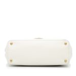 Borsa Chanel Globe Trotter