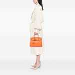 Hermès Birkin 30 Clemence Orange GHW