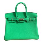 Hermès Birkin 25 Togo Vert Comics Phw