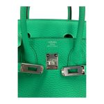 Hermès Birkin 25 Togo Vert Comics Phw