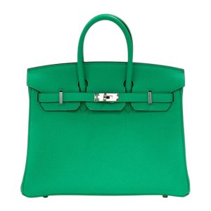 Hermès Birkin 25 Togo Vert Comics Phw