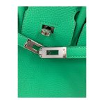 Hermès Birkin 25 Togo Vert Comics Phw