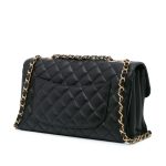 Chanel Companion Daily Flap