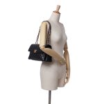 Chanel Companion Daily Flap
