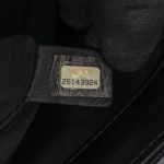 Chanel Companion Daily Flap