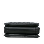 Chanel Companion Daily Flap