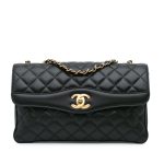 Chanel Companion Daily Flap