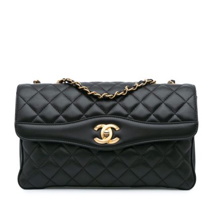 Chanel Companion Daily Flap