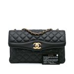 Chanel Companion Daily Flap