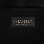 Chanel Companion Daily Flap